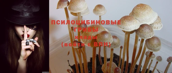 амф Инсар