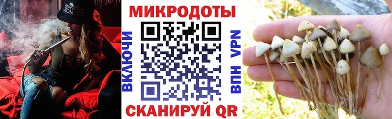 Галлюциногенные грибы Cubensis  дарк нет телеграм  Донской  сколько стоит 